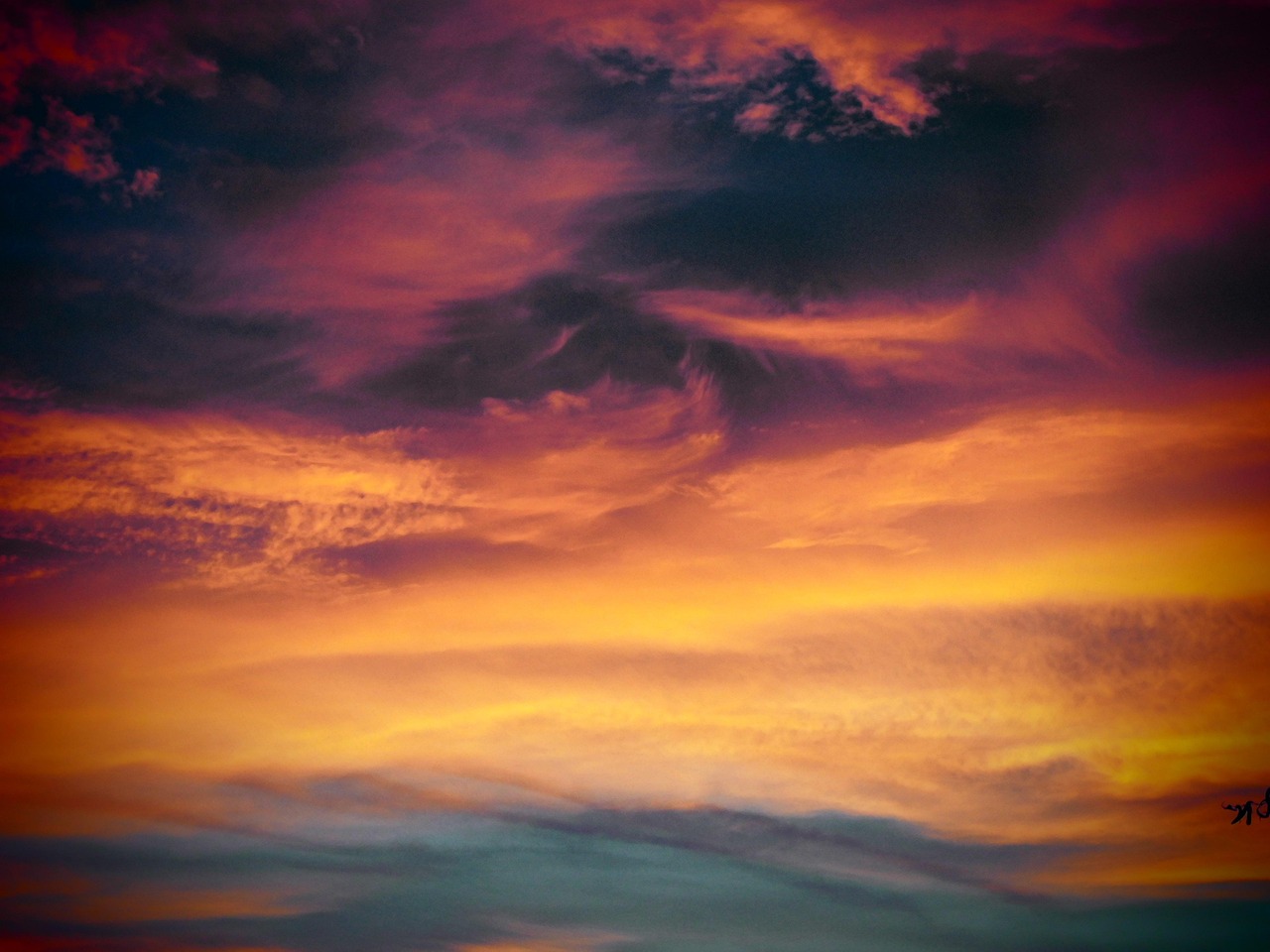 天堂2M：湖北星卡代理平台