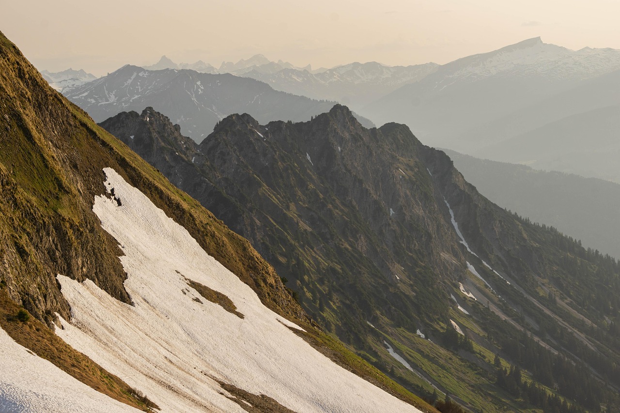 小鸟云实名账号：美拍的app详情下载教程