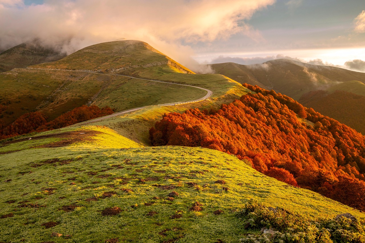 豪利时蓝莓爆珠：网上投注平台怎么代理