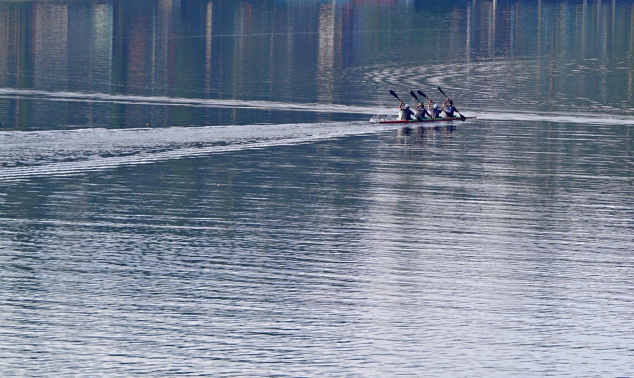 缅甸忠告图七星蓝莓：掌鱼app详情下载教程