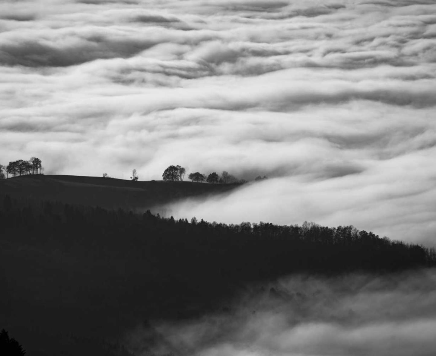 美团美卡实名账号：北京顺义注册代理哪家好