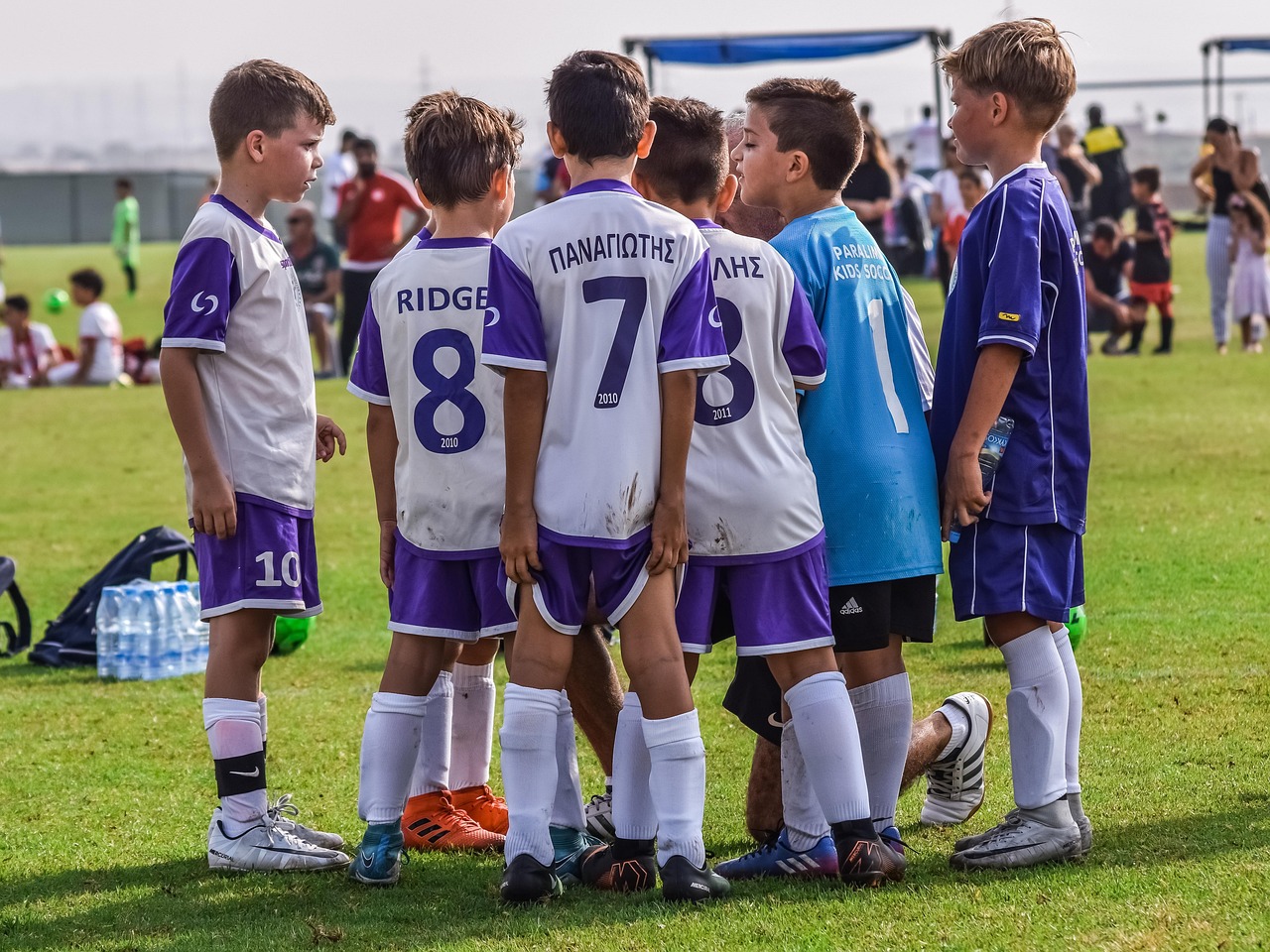 珍爱网实名账号:为什么烂橘子账号注册失败