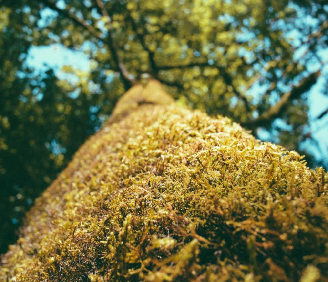 武汉小型道指期货开户平台